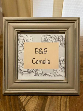 B&B Camelia Città Di Castello